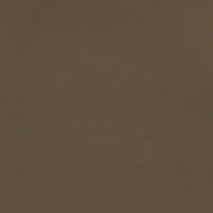F2870 Mocha by Greenhouse Designer Fabric