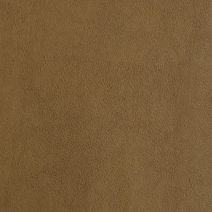 F2872 Tan by Greenhouse Designer Fabric