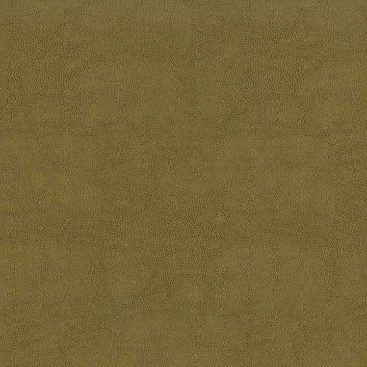 F2872 Tan by Greenhouse Designer Fabric 100% Vinyl, Backing: 100% Polyester China 1,500,000 </p><p>Repeat: None 54" - Swanky Fabrics -