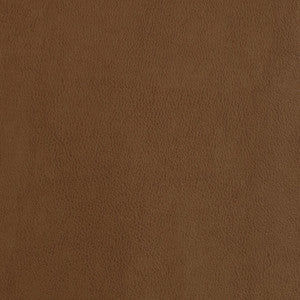 F2873 Amber by Greenhouse Designer Fabric