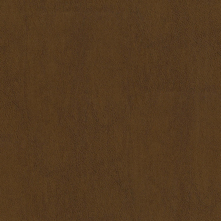 F2873 Amber by Greenhouse Designer Fabric 100% Pvc, Backing: 100% Polyester China 1500000 </p><p>Repeat: None 54" - Swanky Fabrics -