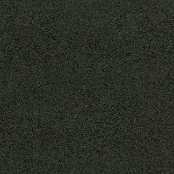 F2880 Charcoal by Greenhouse Designer Fabric 100% Vinyl, Backing: 100% Polyester China 1,500,000 </p><p>Repeat: None 54" - Swanky Fabrics -