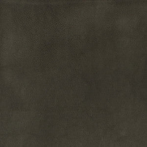 F2880 Charcoal by Greenhouse Designer Fabric