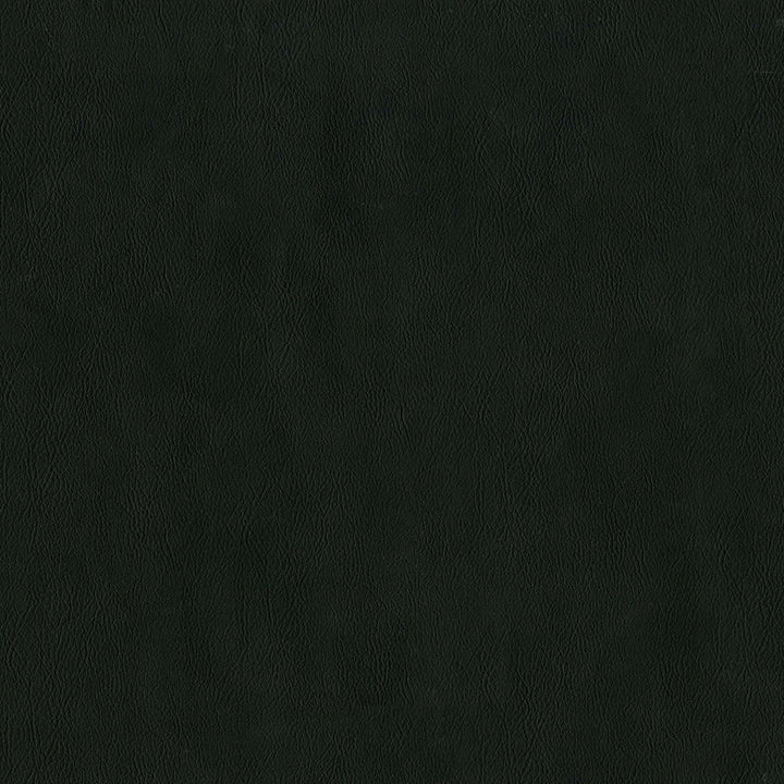 F2881 Raven by Greenhouse Designer Fabric 100% Vinyl, Backing: 100% Polyester China 1,500,000 </p><p>Repeat: None 54" - Swanky Fabrics -