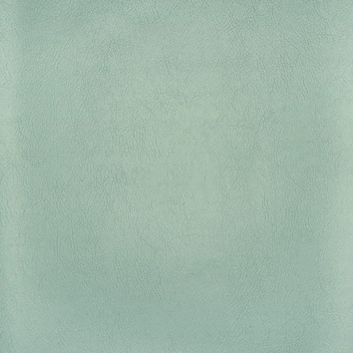 F2886 Spa by Greenhouse Designer Fabric Face: 100% Pvc Back: 100% Polyester Mildew Resistant Cold Crack: -55Â° C 1,500 Light Hours Weight: 33.10 Oz/Lin. Yd Thickness: 1.10 Mm Fr Additive Free, Prop 65 Compliant China 1,500,000 double rubs </p><p>Repeat: NONE 55" - Swanky Fabrics -