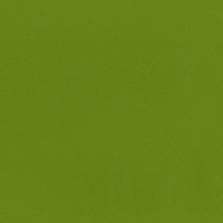 F2898 Spring by Greenhouse Designer Fabric 100% Vinyl, Backing: 100% Polyester China 1,500,000 </p><p>Repeat: None 54" - Swanky Fabrics -