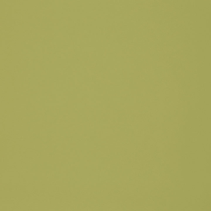 F2899 Meadow by Greenhouse Designer Fabric E77: Value Vinyl Face: 100% Pvc Back: 100% Polyester Mildew Resistant Cold Crack: -55° C 1,500 Light Hours Weight: 33.10 Oz/Lin. Yd Thickness: 1.10 Mm Fr Additive Free, Prop 65 Compliant China 1,500,000 double rubs Endurepel </p><p>Repeat: None 55" - Swanky Fabrics -