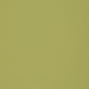 F2899 Meadow by Greenhouse Designer Fabric