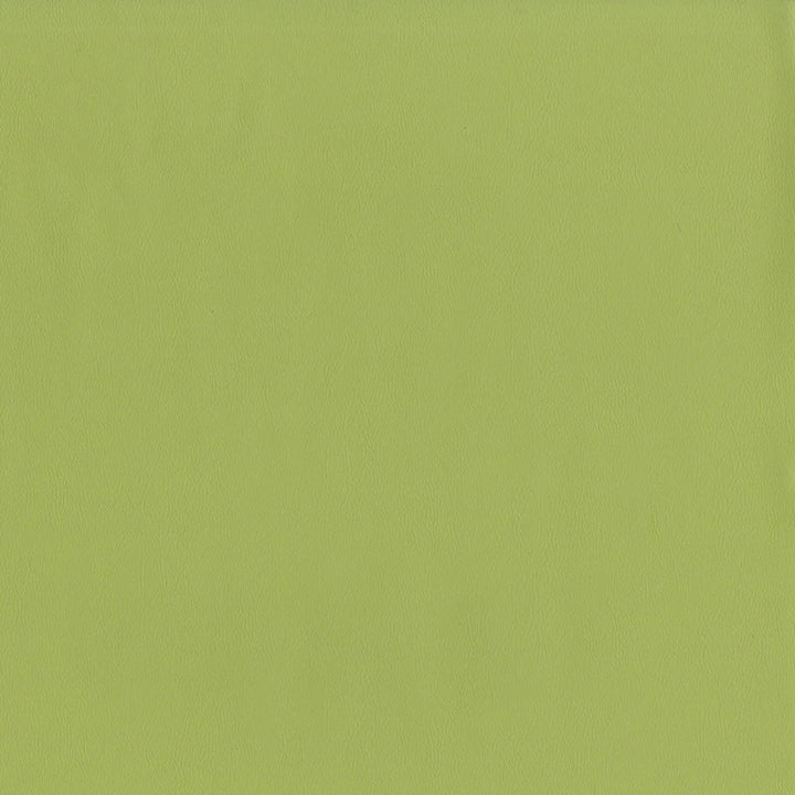 F2899 Meadow by Greenhouse Designer Fabric 100% Vinyl, Backing: 100% Polyester China 1,500,000 </p><p>Repeat: None 54" - Swanky Fabrics -