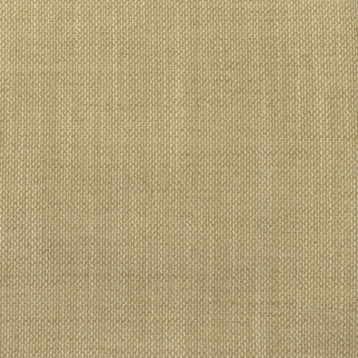 F2933 Vanilla by Greenhouse Designer Fabric 100% Polyester China 63,000 double rubs </p><p>Repeat: None 56" - Swanky Fabrics -