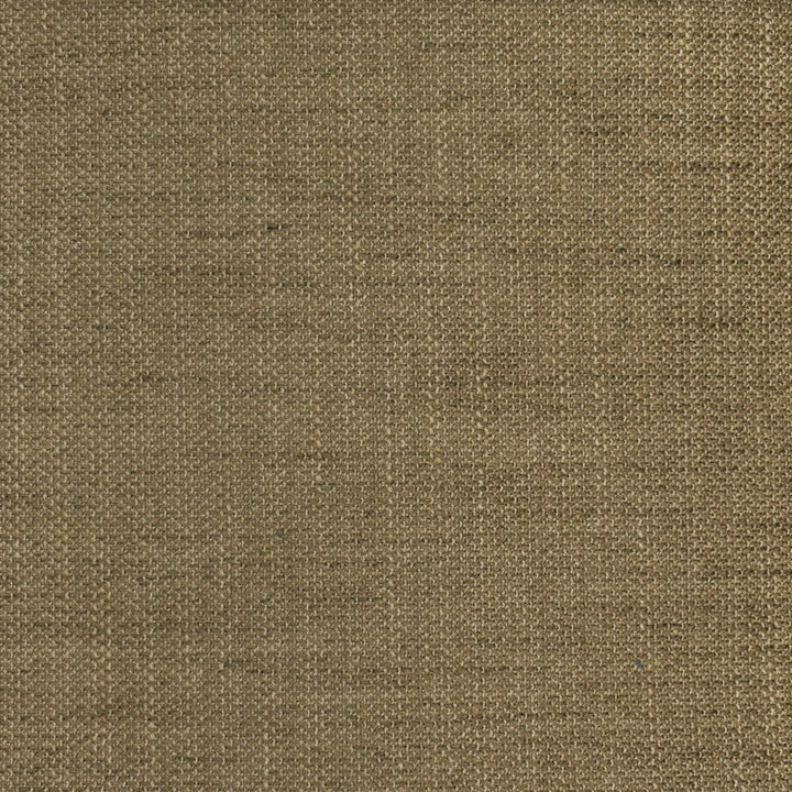 F2938 Fossil by Greenhouse Designer Fabric 100% Polyester China 63,000 double rubs </p><p>Repeat: None 56" - Swanky Fabrics -
