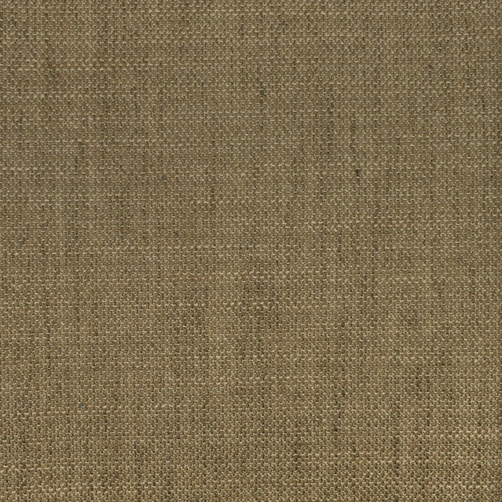 F2938 Fossil by Greenhouse Designer Fabric 100% Polyester CHINA 63,000 </p><p>Repeat: None 56" - Swanky Fabrics -