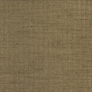 F2938 Fossil by Greenhouse Designer Fabric