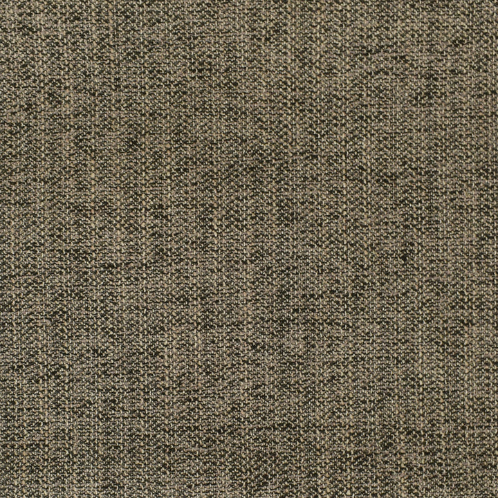 F2950 Coal by Greenhouse Designer Fabric E79: Value Textures Neutral 100% Polyester China 63,000 double rubs </p><p>Repeat: None 56" - Swanky Fabrics -