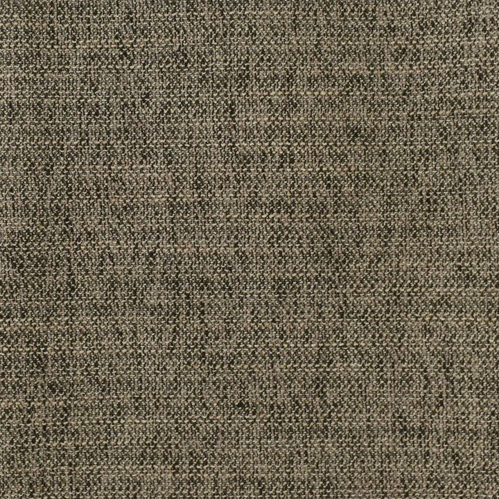 F2950 Coal by Greenhouse Designer Fabric 100% Polyester CHINA 63,000 </p><p>Repeat: None 56" - Swanky Fabrics -