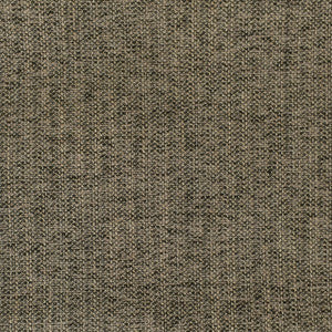 F2950 Coal by Greenhouse Designer Fabric
