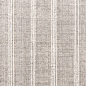 F300-111 by Charlotte Designer Fabric