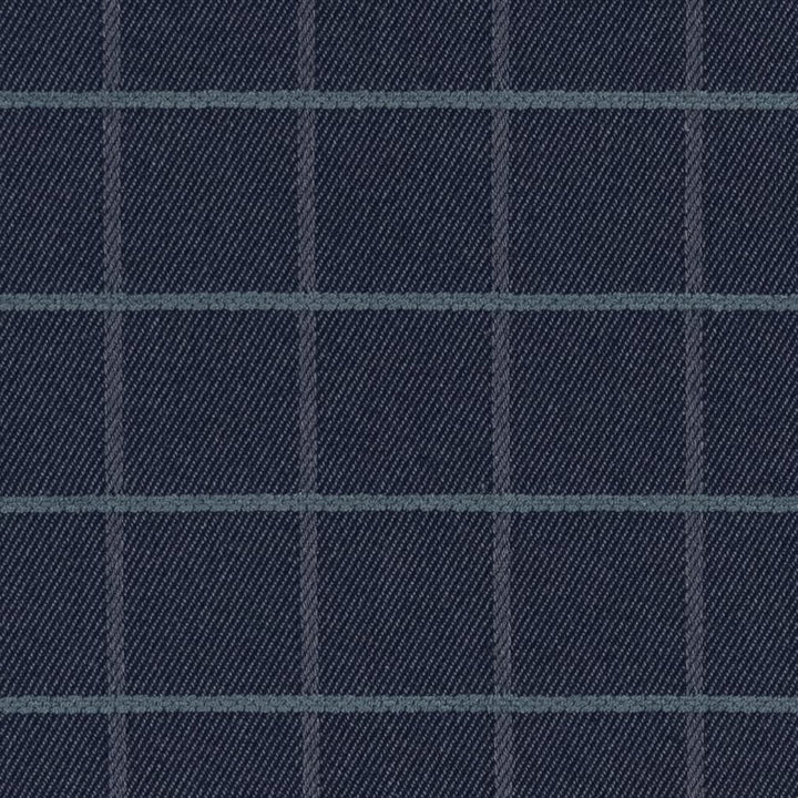 F300-137 by Charlotte Designer Fabric Horizon 71% Cotton, 29% Polyester Made In USA Exceeds 20,0000 Wyzenbeek Rubs (Heavy Duty) </p><p>Repeat: Horizontal 2.5" x Vertical 2.5" 54 Inches - Swanky Fabrics -