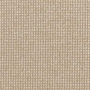 F300-174 by Charlotte Designer Fabric