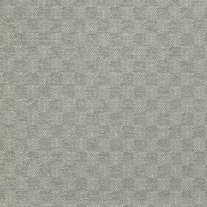 F300-215 by Charlotte Designer Fabric