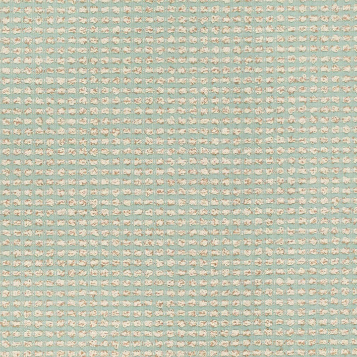 F300-216 by Charlotte Designer Fabric Tranquil 69% Polyester, 31% Cotton USA Exceeds 200,000 Wyzenbeek Rubs (Heavy Duty) No Repeat 54 Inches - Swanky Fabrics -