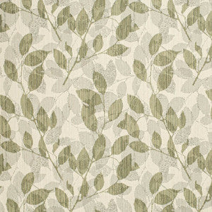 F300-228 by Charlotte Designer Fabric