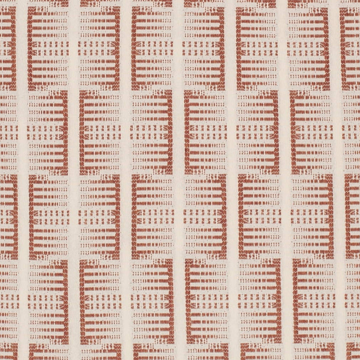 F300-245 by Charlotte Fabric Terracotta 65% Olefin, 35% Polyester USA Exceeds 102,000 Wyzenbeek Rubs (Heavy Duty) Horizontal 4.5" x Vertical 7" 54 Inches - Fabric Carolina -