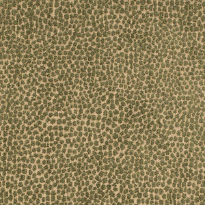 F300-265 by Charlotte Designer Fabric