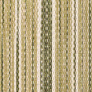 F300-272 by Charlotte Designer Fabric