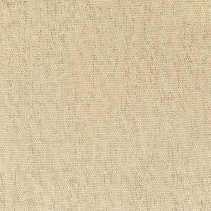 F3019 Natural by Greenhouse Designer Fabric 100% Polyester China 50,000 double rubs </p><p>Repeat: None 55" - Swanky Fabrics -