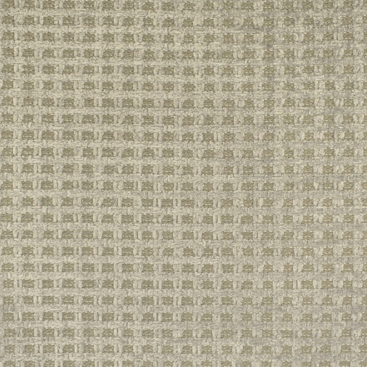 F3041 Silver by Greenhouse Designer Fabric 100% Polyester China 50,000 double rubs </p><p>Repeat: None 56" - Swanky Fabrics -
