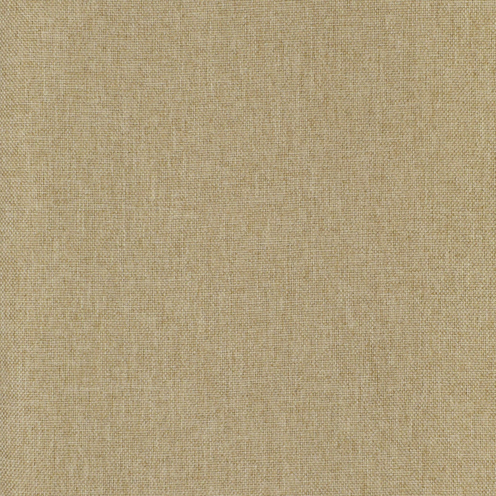 F3073 Dune by Greenhouse Designer Fabric 100% Polyester China 100,000 double rubs </p><p>Repeat: None 57" - Swanky Fabrics -