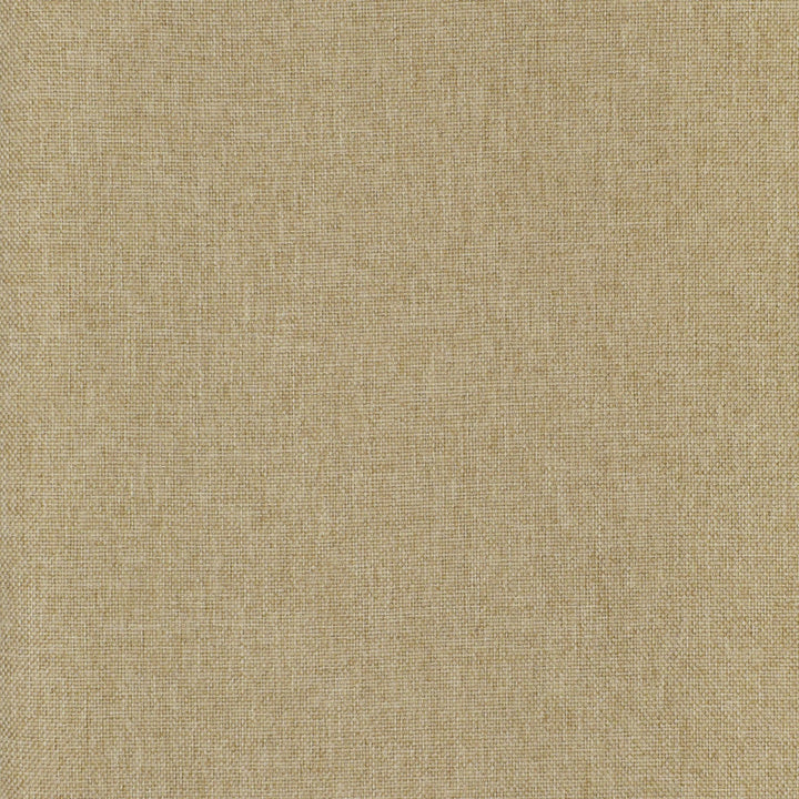 F3073 Dune by Greenhouse Designer Fabric 100% Polyester China 100,000 </p><p>Repeat: None 57" - Swanky Fabrics -
