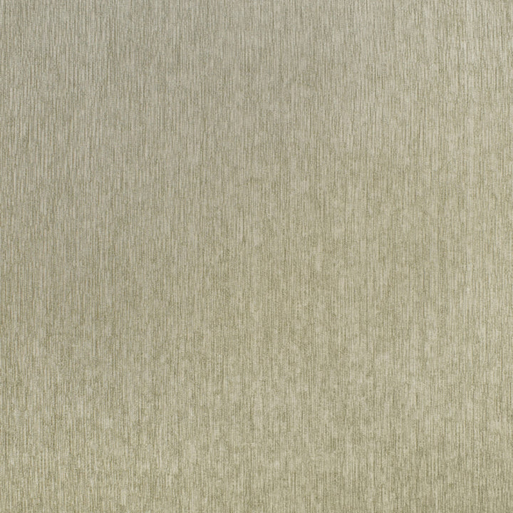 F3096 Platinum by Greenhouse Designer Fabric E82: Value Performance 100% Polyester China 50,000 double rubs Endurepel </p><p>Repeat: None 55" - Swanky Fabrics -