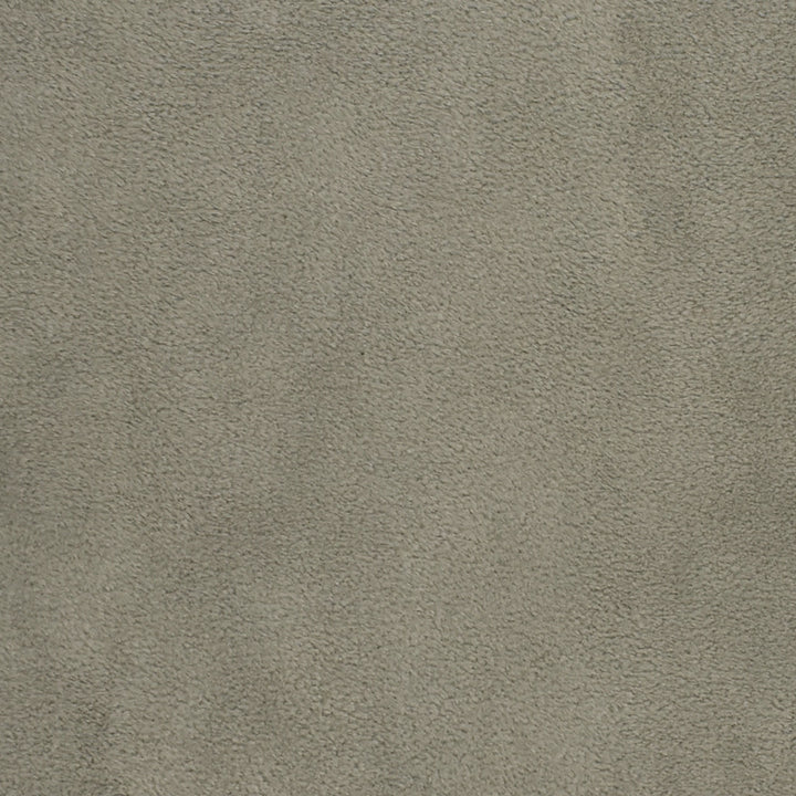 F3197 Ash by Greenhouse Designer Fabric 100% Polyester, Back: 100% Acrylic China 50,000 </p><p>Repeat: None 55" - Swanky Fabrics -
