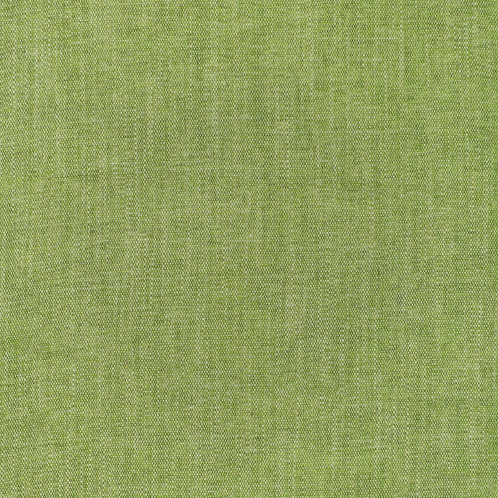 F3403 Spring by Greenhouse Designer Fabric E91: Value Color 43% Polyester, 40% Viscose, 17% Linen China 100,000 double rubs </p><p>Repeat: None 54" - Swanky Fabrics -