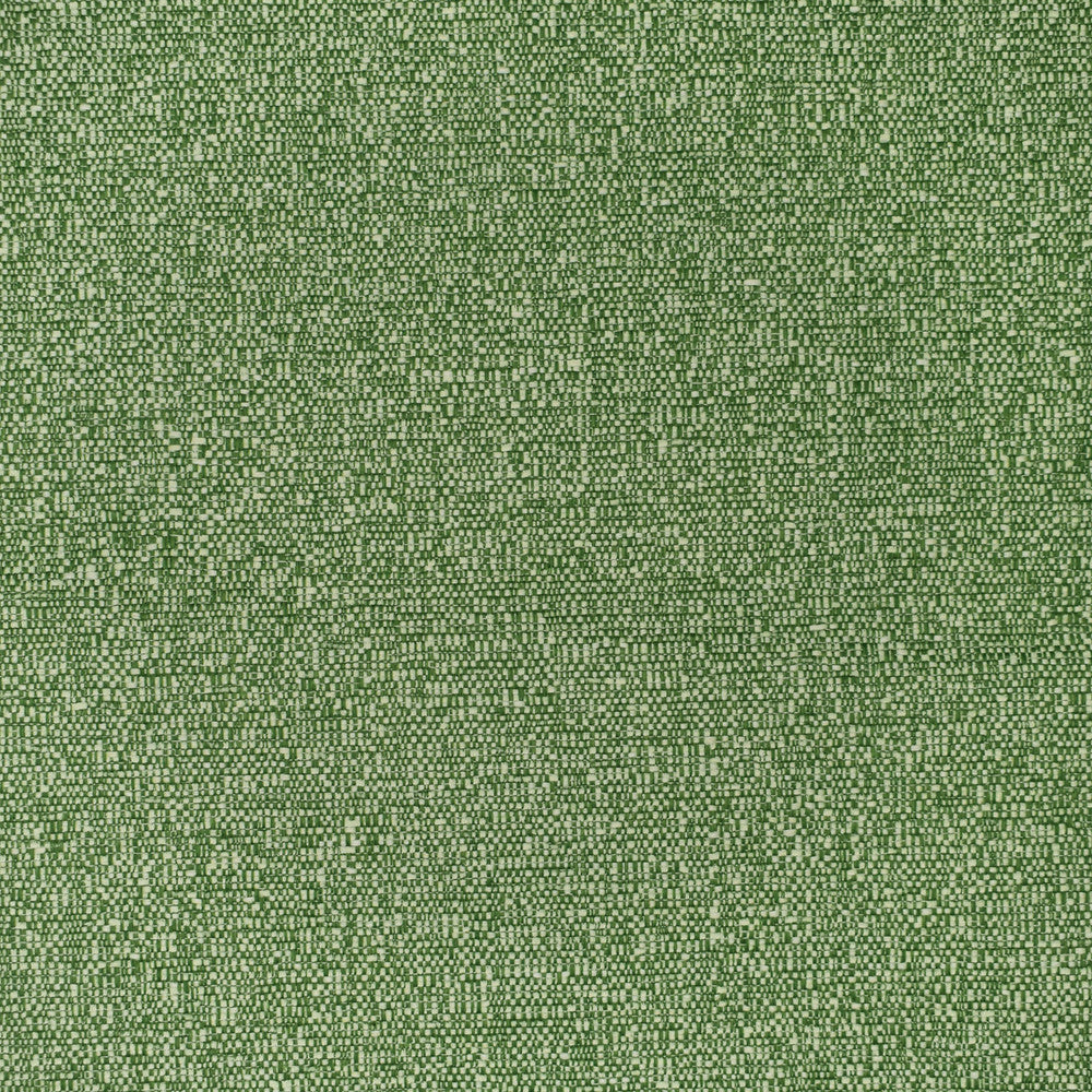 F3404 Grass by Greenhouse Designer Fabric 100% Polyester China 60,000 double rubs </p><p>Repeat: None 54" - Swanky Fabrics -