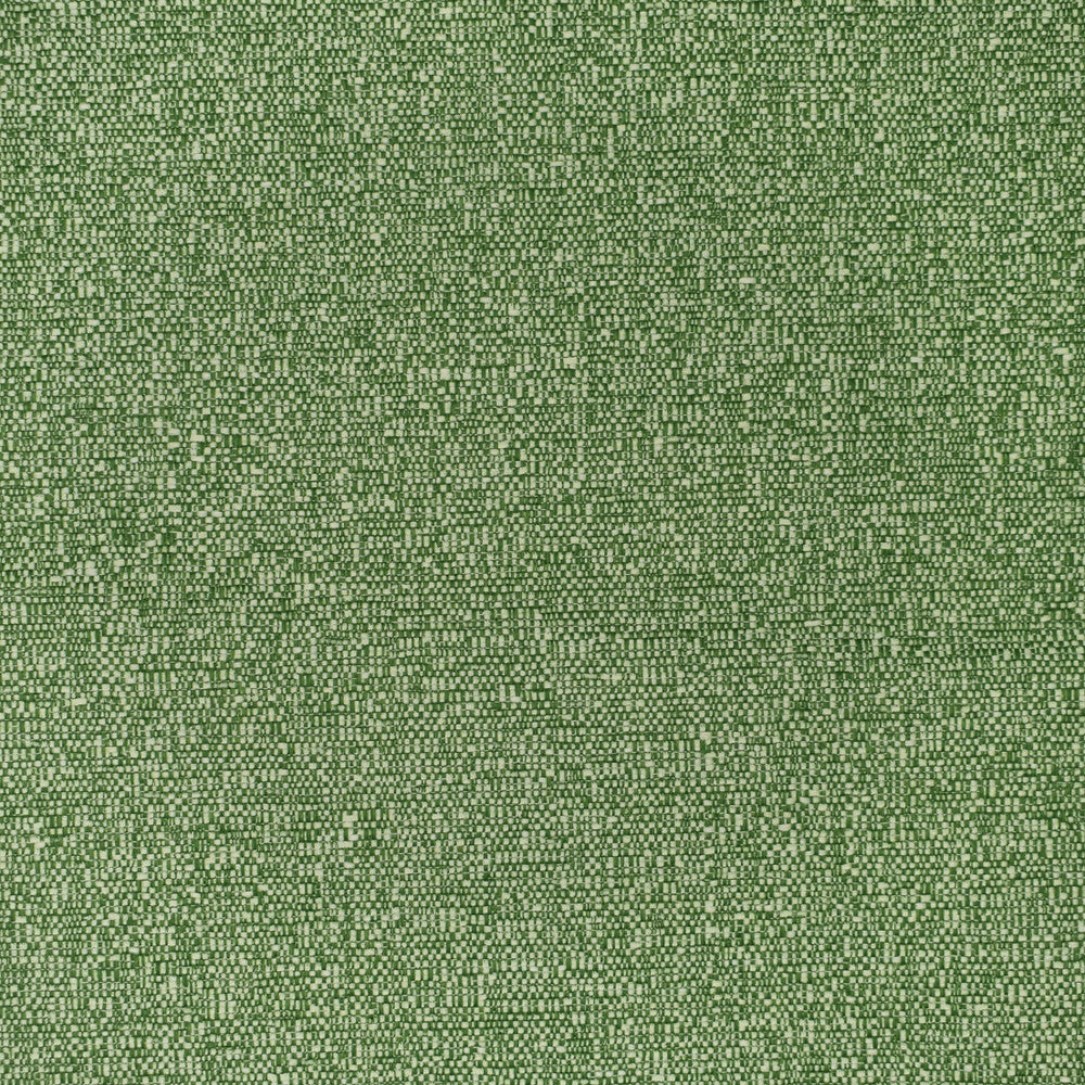 F3404 Grass by Greenhouse Designer Fabric 100% Polyester China 60,000 </p><p>Repeat: None 54" - Swanky Fabrics -