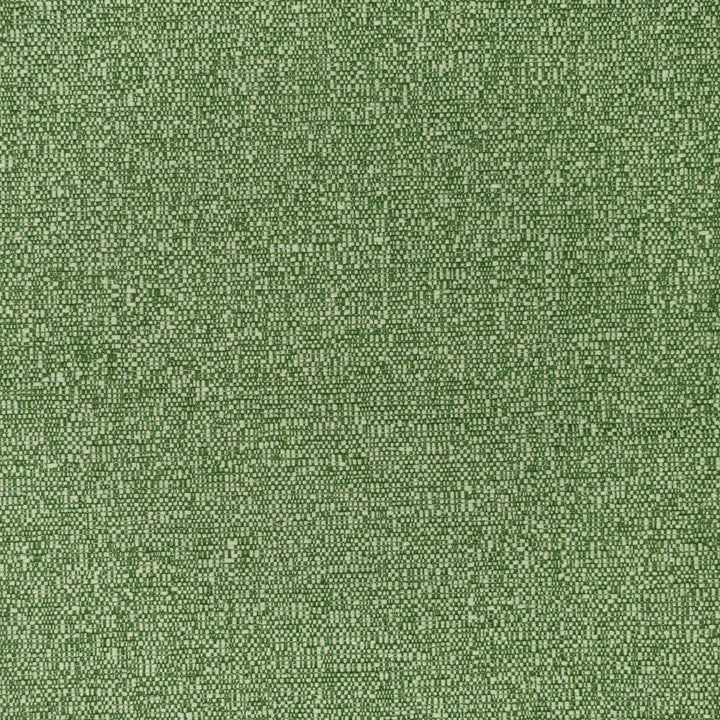 F3404 Grass by Greenhouse Designer Fabric 100% Polyester China 60,000 </p><p>Repeat: None 54" - Swanky Fabrics -