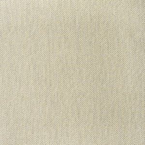 F3504 Canvas by Greenhouse Designer Fabric