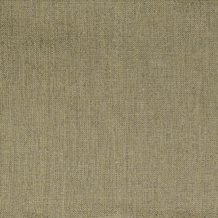 F3541 Stone by Greenhouse Designer Fabric 68.28% Olefin, 31.72% Polyester (Uv) USA 33,000 double rubs </p><p>Repeat: 6.906" H, 10.188" V 56" - Swanky Fabrics -