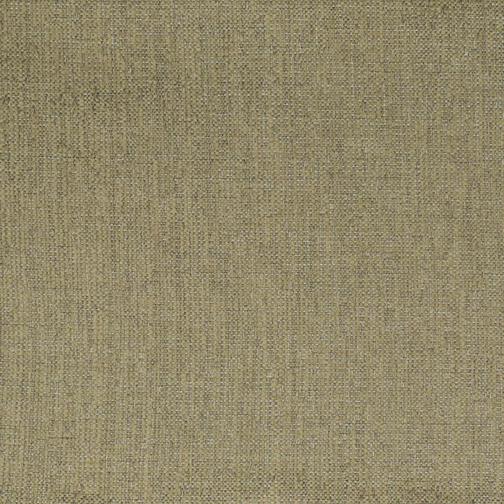 F3541 Stone by Greenhouse Designer Fabric 68.28% Olefin, 31.72% Polyester (Uv) USA 33,000 </p><p>Repeat: 6.906" H, 10.188" V 56" - Swanky Fabrics -
