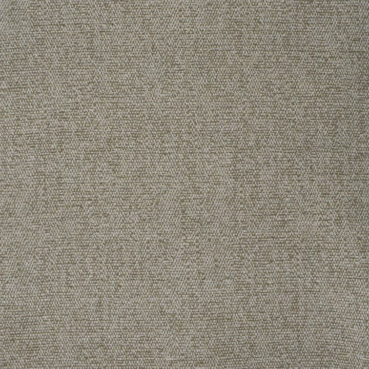 F3681 Mushroom by Greenhouse Designer Fabric 100% Polyester China 31,000 double rubs </p><p>Repeat: None 57" - Swanky Fabrics -