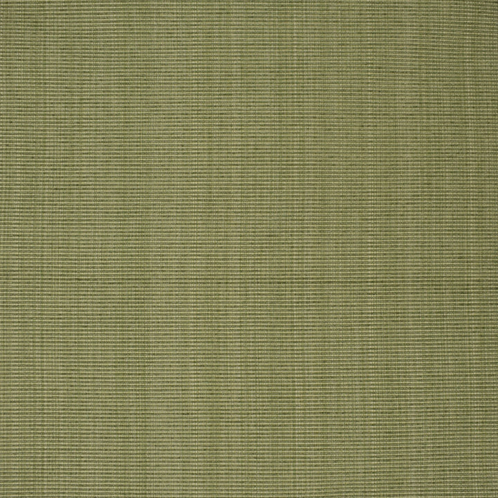 F3752 Sage by Greenhouse Designer Fabric 51% Cotton, 30% Polyester, 19% Rayon China 60,000 double rubs </p><p>Repeat: None 60" - Swanky Fabrics -