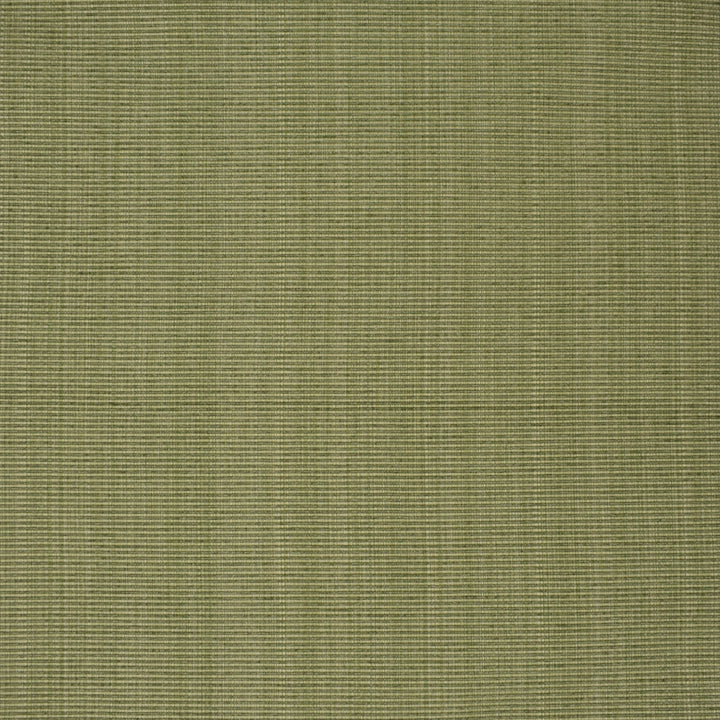 F3752 Sage by Greenhouse Designer Fabric 51% Cotton, 30% Polyester, 19% Rayon China 60,000 </p><p>Repeat: None 60" - Swanky Fabrics -