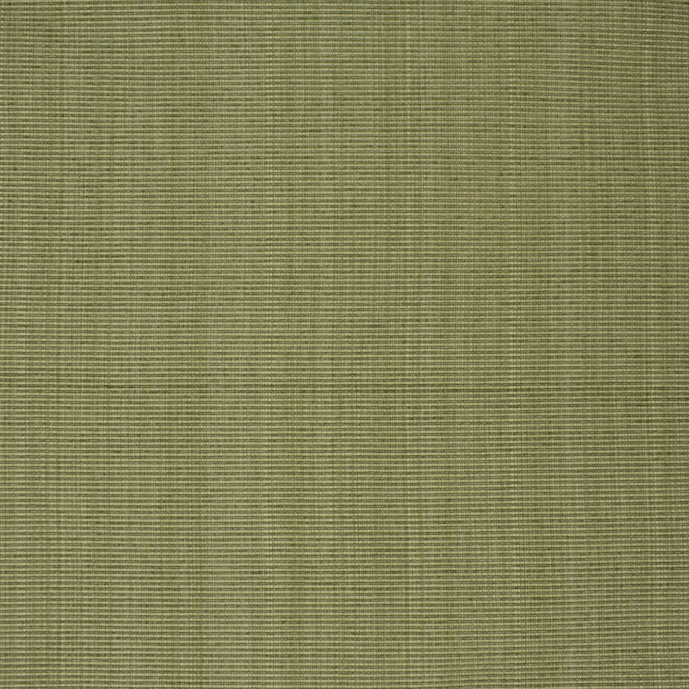 F3752 Sage by Greenhouse Designer Fabric 51% Cotton, 30% Polyester, 19% Rayon China 60,000 double rubs </p><p>Repeat: None 60" - Swanky Fabrics -