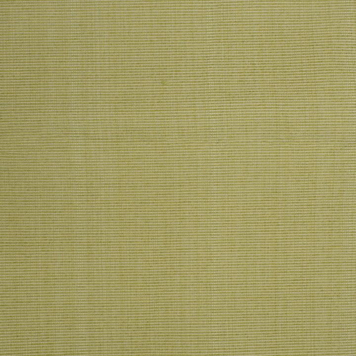 F3756 Spring by Greenhouse Designer Fabric 51% Cotton, 30% Polyester, 19% Rayon China 60,000 double rubs </p><p>Repeat: None 60" - Swanky Fabrics -