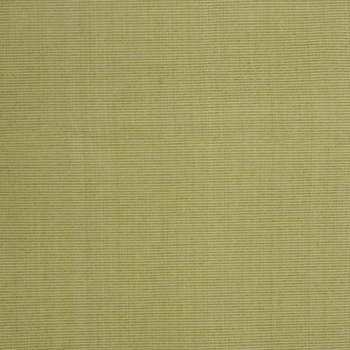 F3756 Spring by Greenhouse Designer Fabric 51% Cotton, 30% Polyester, 19% Rayon China 60,000 </p><p>Repeat: None 60" - Swanky Fabrics -