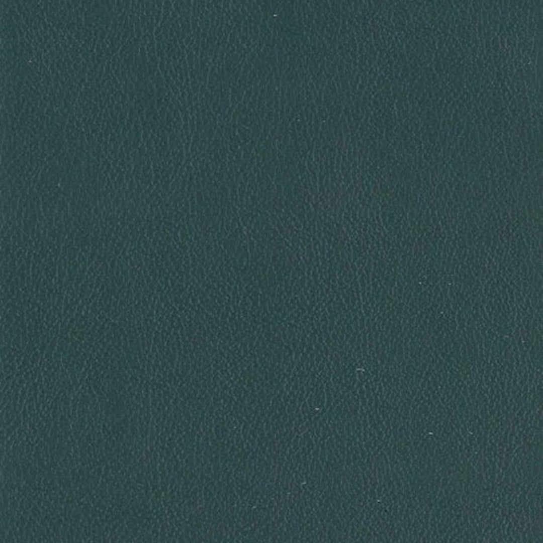 F3829 Hunter by Greenhouse Designer Fabric