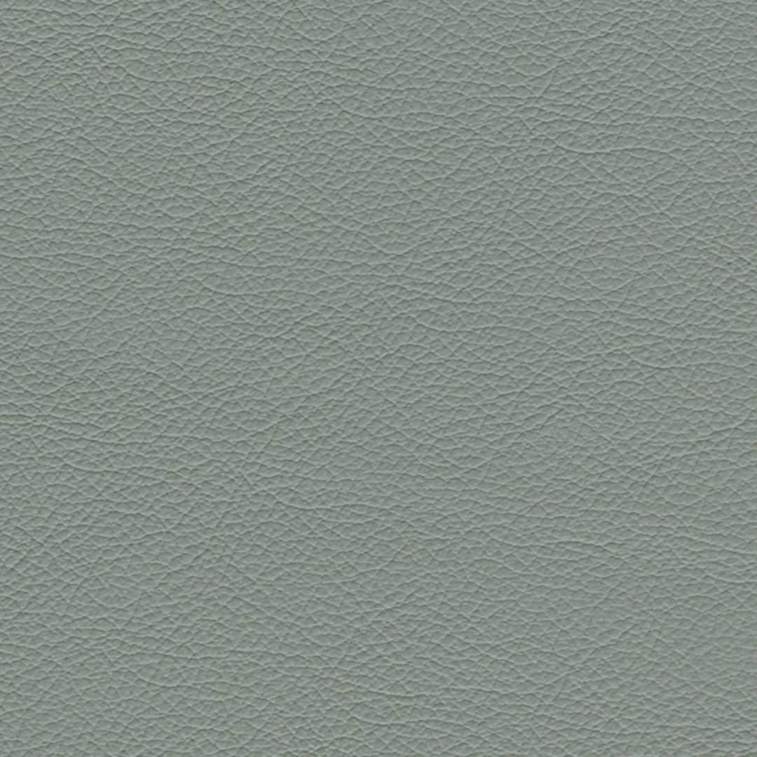 F3832 Tempest by Greenhouse Designer Fabric